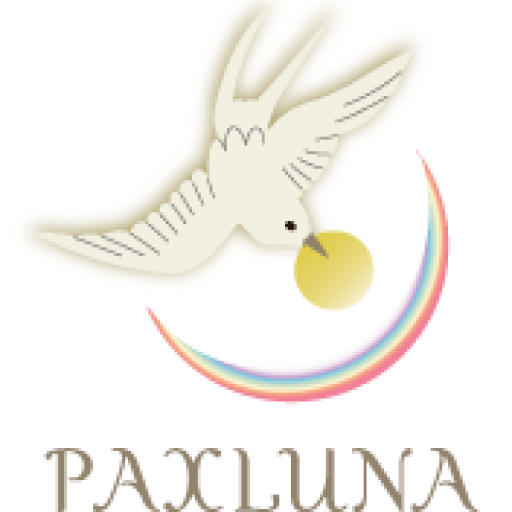 キロン カイロン キローン の12ハウス 12室 別の出生図やトランジットの意味 解釈 パクスルーナ Paxluna 占星術 星読み ホロスコープに関するブログ