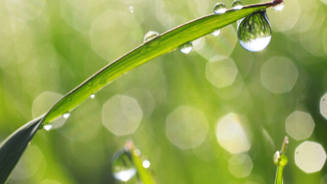 パートオブフォーチュンを具体的に解釈する5つのステップ 敬宮愛子内親王を例にパートオブフォーチュンを分析する パクスルーナ Paxluna 占星術 星読み ホロスコープに関するブログ